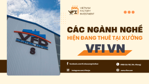 Các ngành nghề đang thuê tại VFI VN